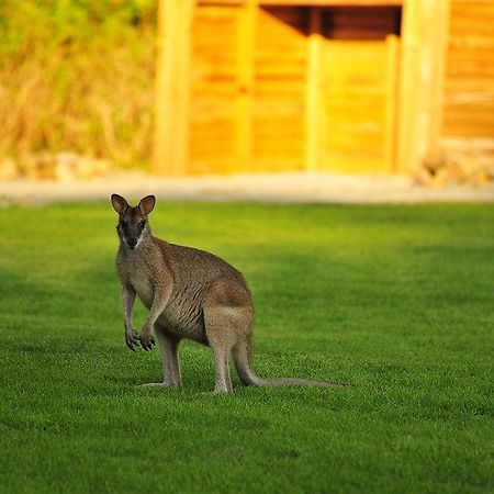 Paradise Bay Eco Escape Лонг-Айленд Екстер'єр фото